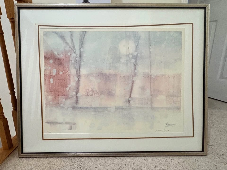 James Steens Framed Landscape Print