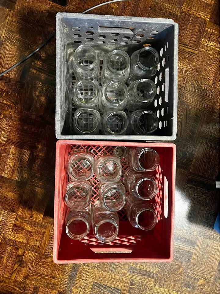 Lot of 24 Mason 1L