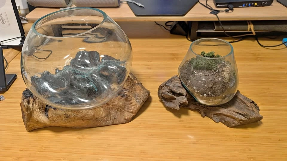 Molten glass terrariums