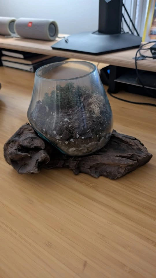 Molten glass terrariums - photo 3
