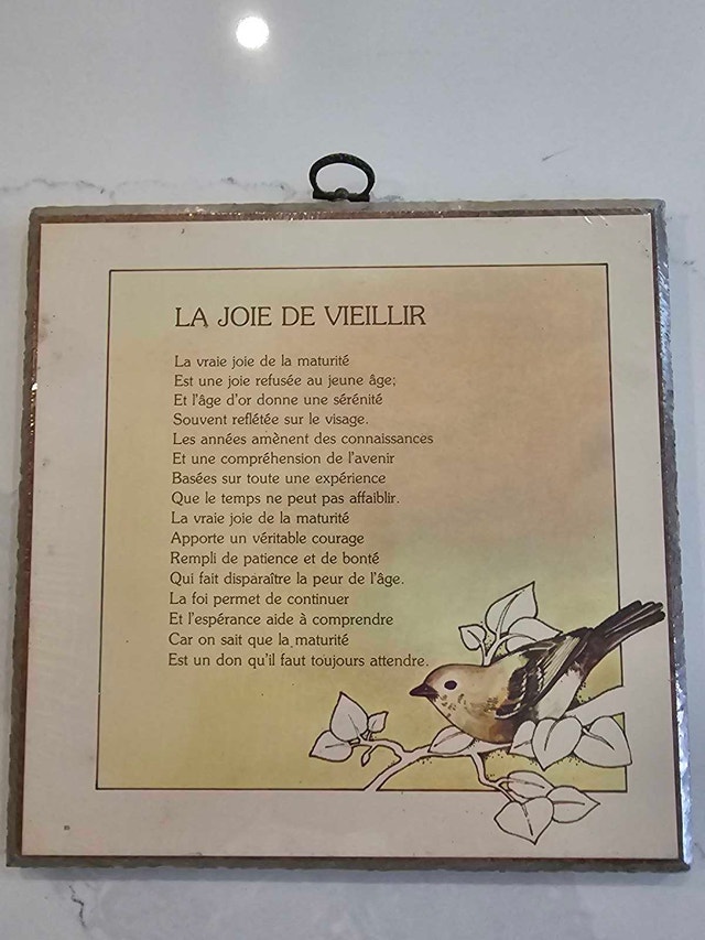 C.M. Paula Wall Plaque - photo 3