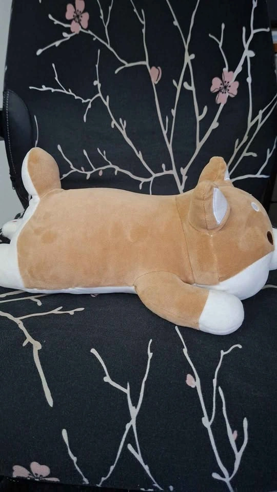 Shiba Inu MINISO Plush - photo 2
