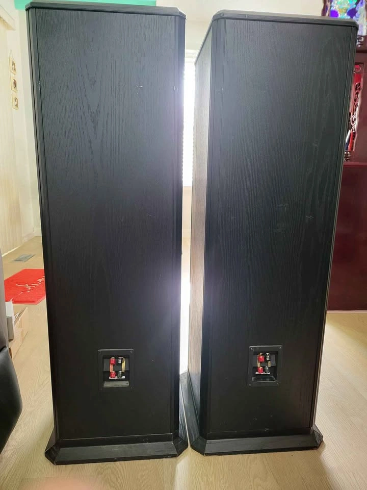 PSB Stratus Gold Floorstanding Speakers - photo 3