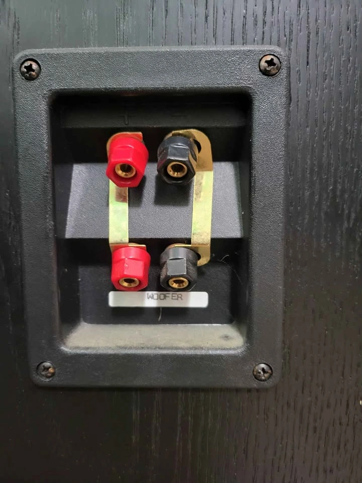 PSB Stratus Gold Floorstanding Speakers - photo 4