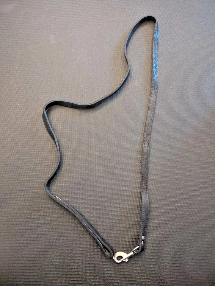 6ft Black Leather Dog Leash thumbnail
