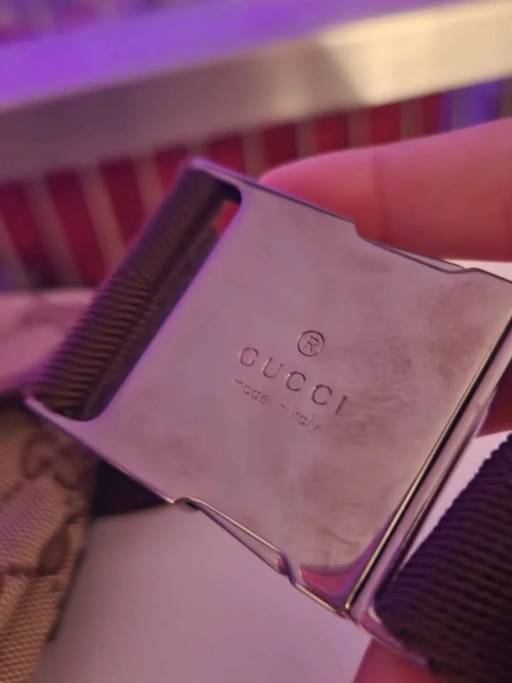 Designer buckle bag image indicator(4)