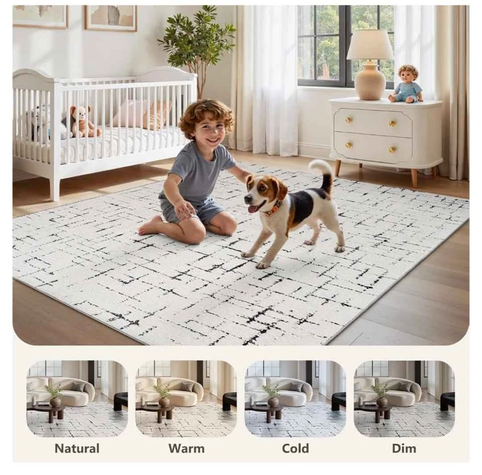 Brand new 8x10 Area Rug - Textured Tufted Modern Neutral - photo 4
