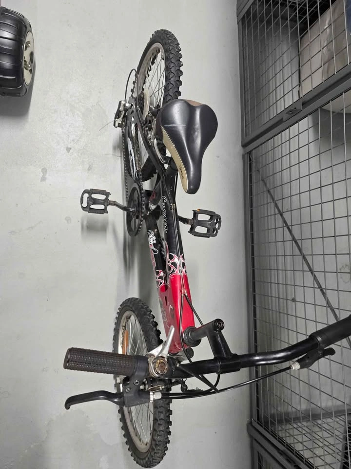 Bike - photo 4