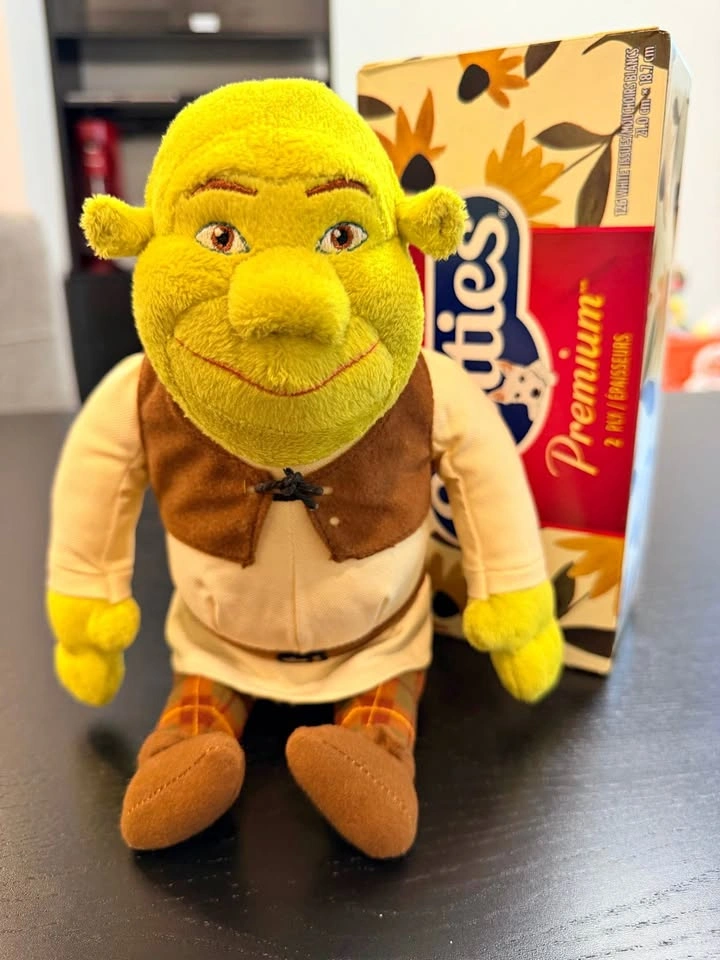 Shrek Plush Toy