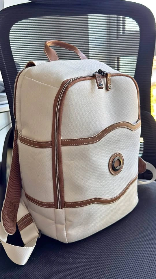DELSEY PARIS unisex-adult Chatelet 2.0 Travel Laptop Backpack