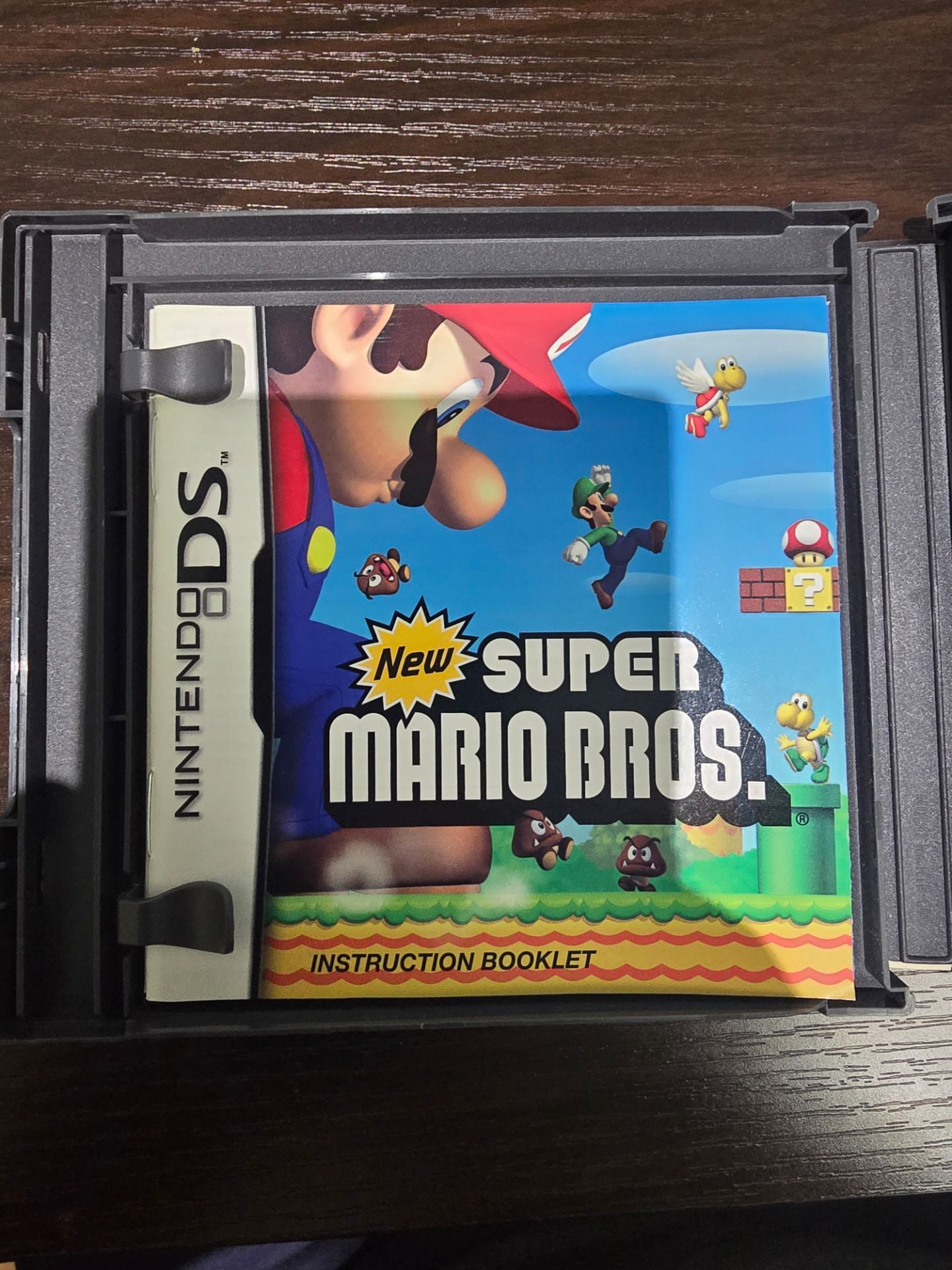 New Super Mario Bros. DS - photo 3