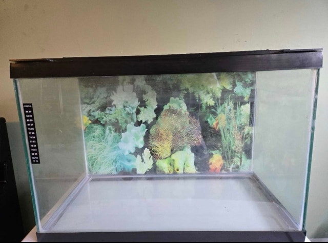 20 Gallon Aquarium with hood and light