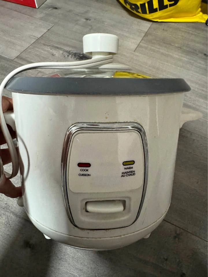 Electric Rice Cooker with Glass Lid