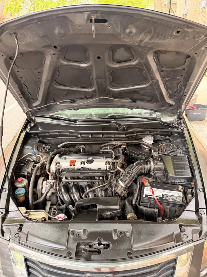 2010 Honda Accord EX-L Sedan 4D - photo 4