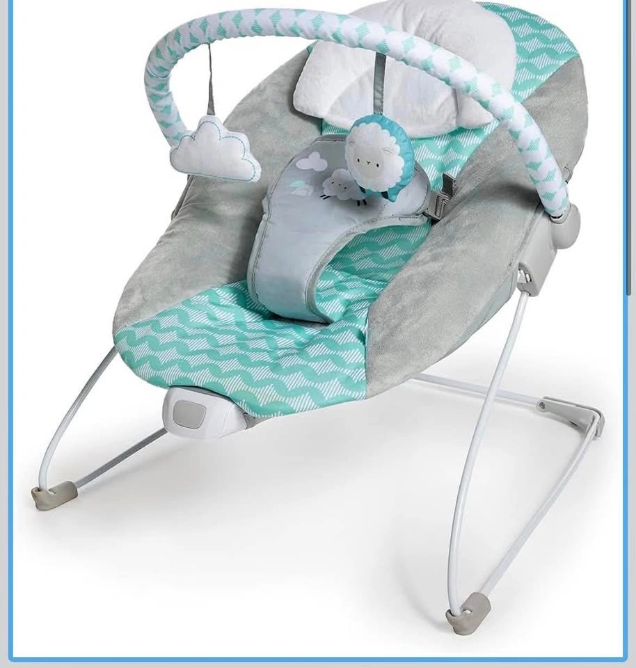 Ingenuity Baby Bouncer