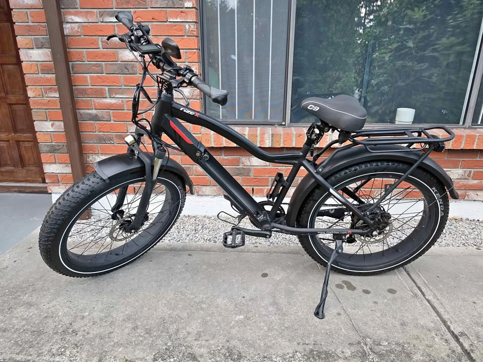 Rize X Long Range E-Bike – 750W Bafang | 48V 19.2Ah