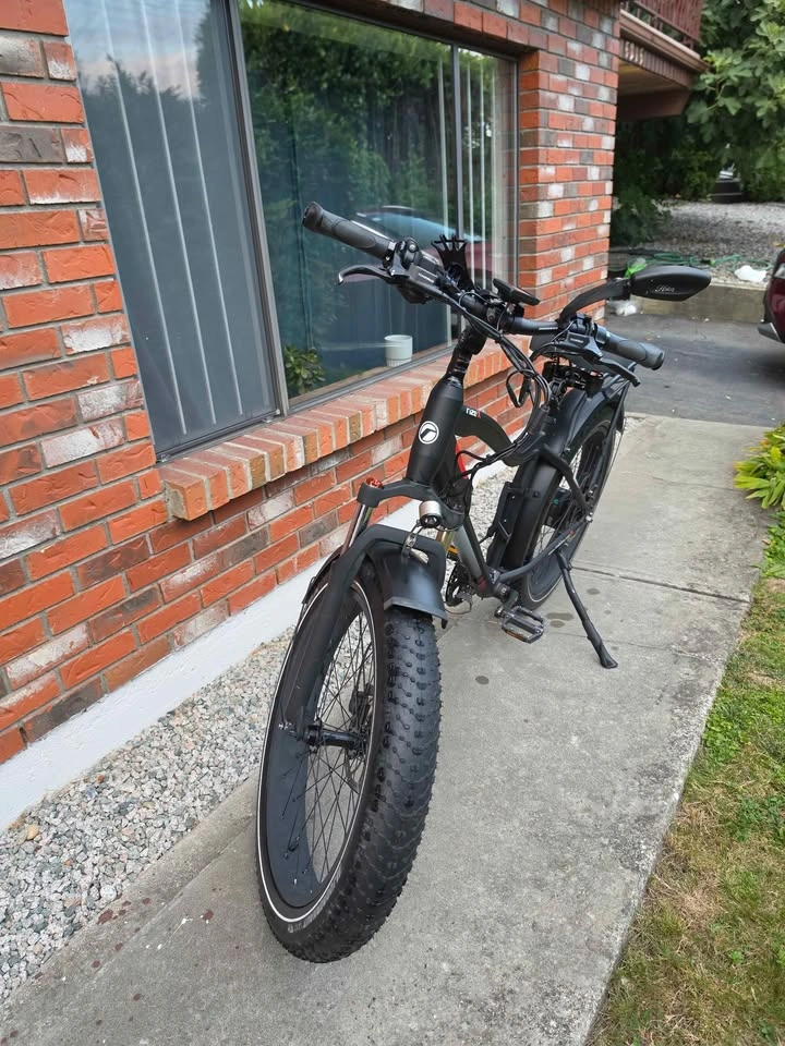 Rize X Long Range E-Bike – 750W Bafang | 48V 19.2Ah - photo 2
