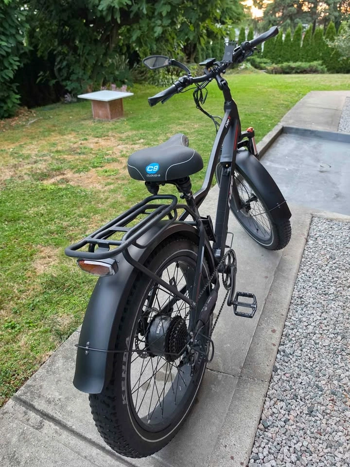 Rize X Long Range E-Bike – 750W Bafang | 48V 19.2Ah - photo 4
