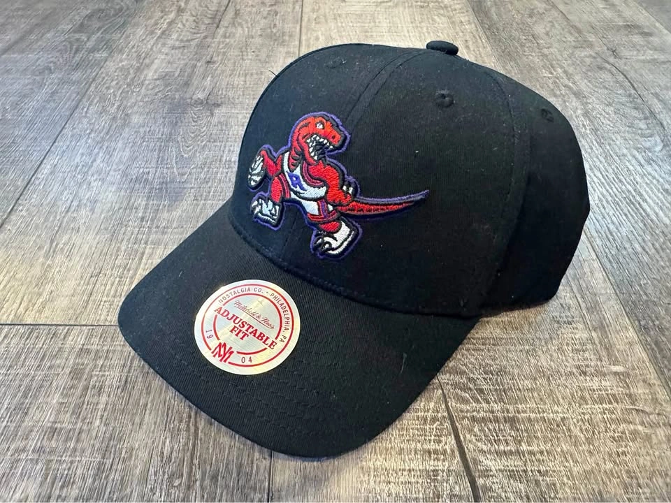 New Mitchell & Ness NBA Toronto Raptors Snapback Hat