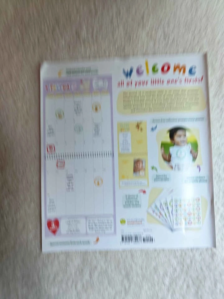 Baby first year book - photo 3