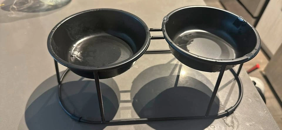 cat bowl