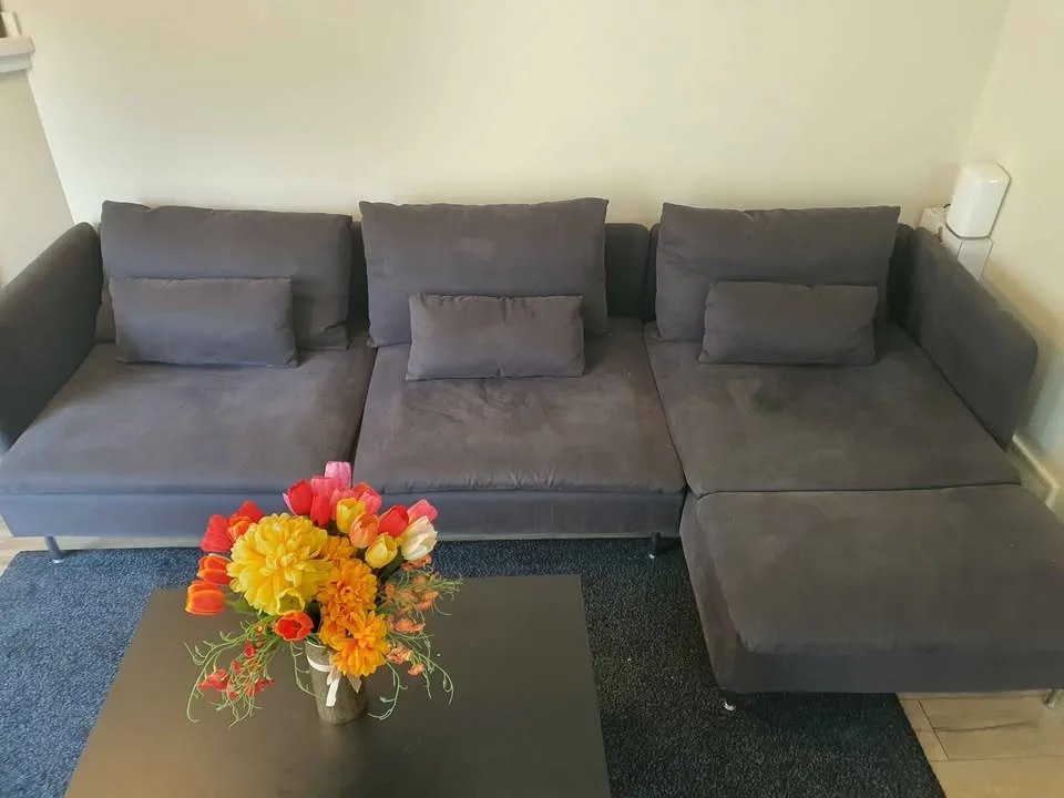 IKEA Fabric sofa with cutions (for free lug if want) image indicator(5)