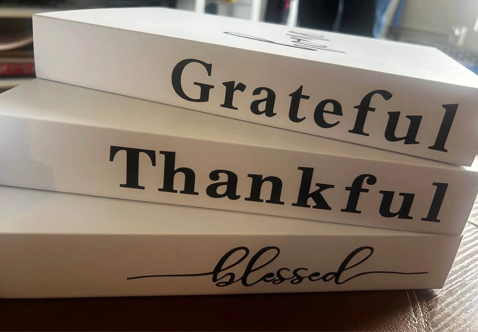Decorative Books Set of 3 | 1 Set for $10 and 2 Set for $15 - photo 3