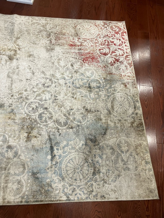 Beige Rug - photo 3