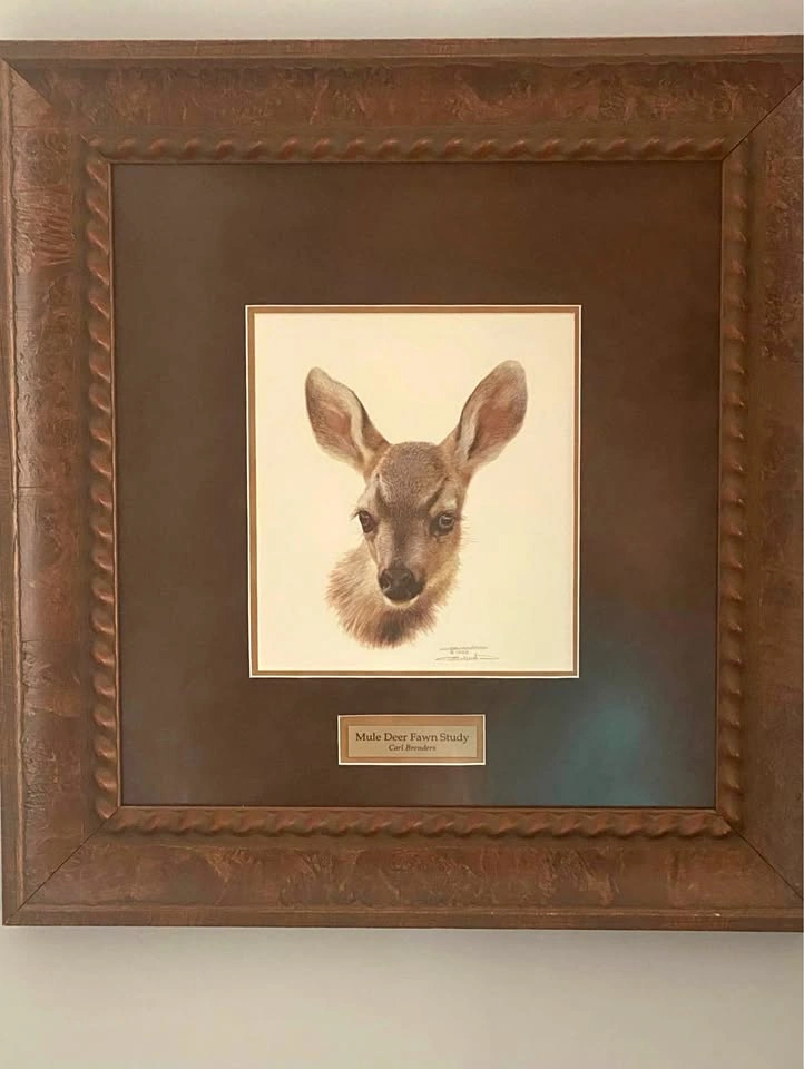 Carl Brenders “Mule Deer Fawn Study” – Large Ornate Framed Artwo