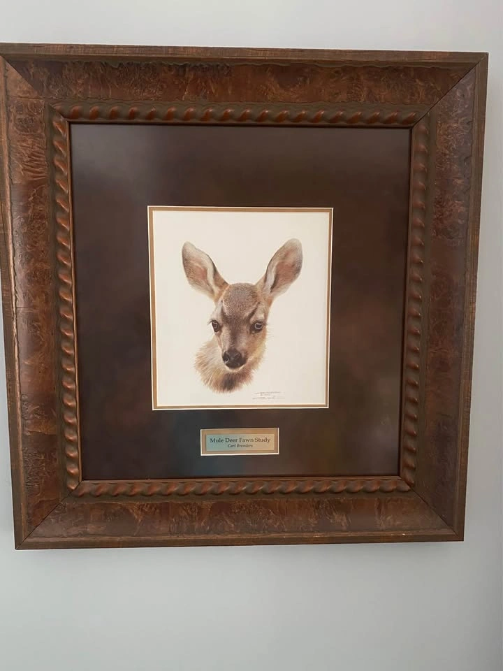 Carl Brenders “Mule Deer Fawn Study” – Large Ornate Framed Artwo - photo 2