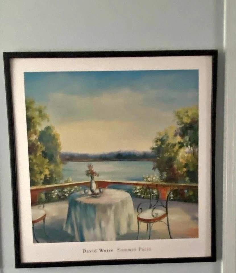 David Weiss “Summer Patio” Framed Artwork - $75