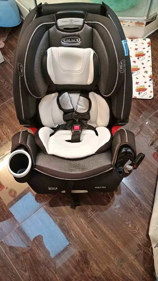 Graco 4Ever DLX 4-in-1 Car Seat