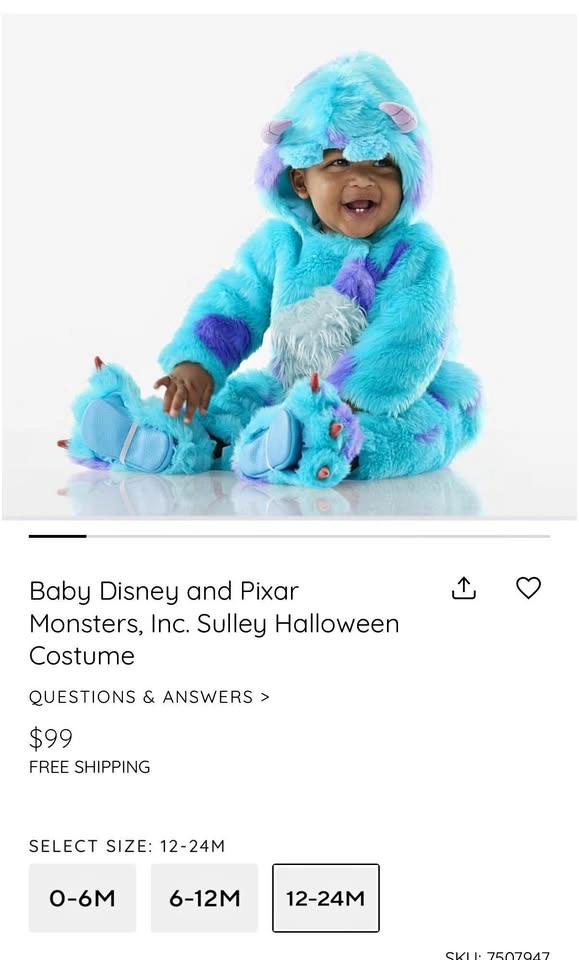 Pottery Barn Monsters Inc Costume