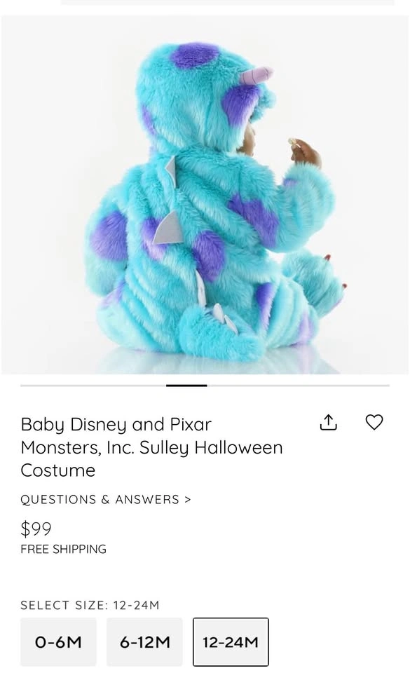 Pottery Barn Monsters Inc Costume - photo 2