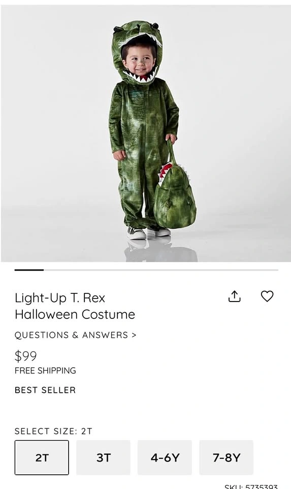 Pottery Barn Trex Costume