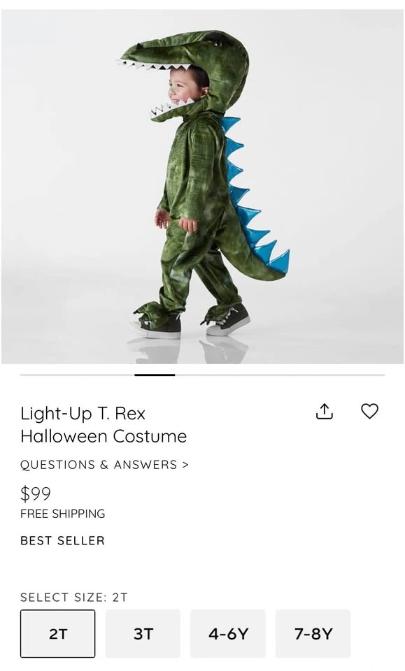 Pottery Barn Trex Costume - photo 2