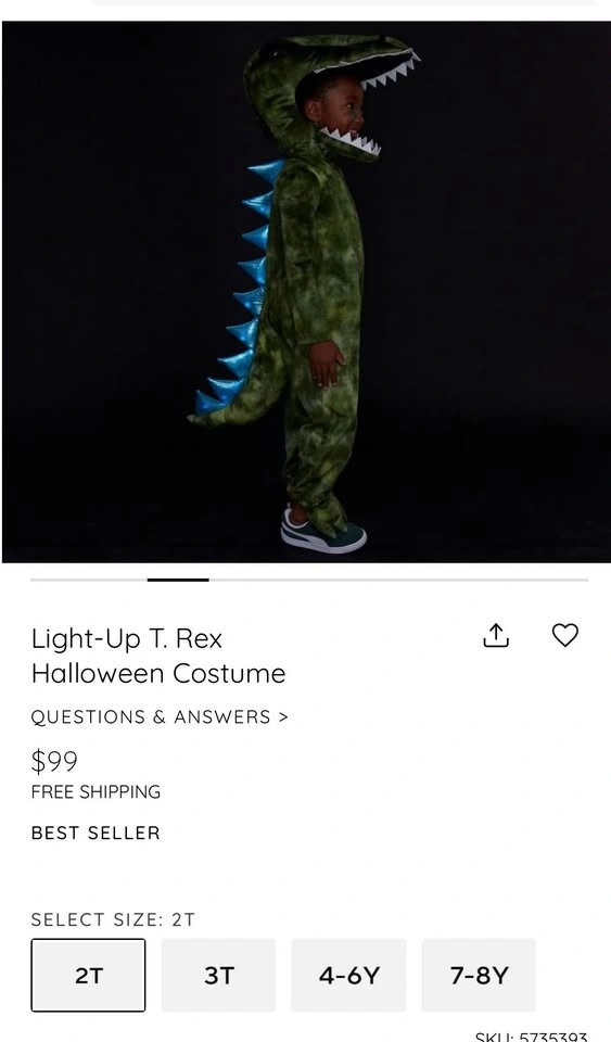 Pottery Barn Trex Costume - photo 3