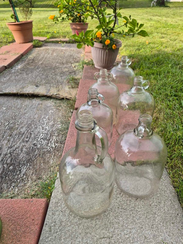 Gallon Wine Jugs - photo 2