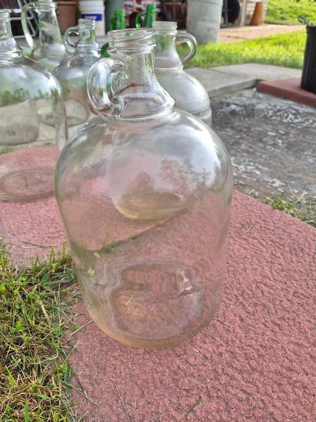 Gallon Wine Jugs - photo 3