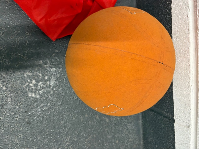 Wilson NBA Basketball