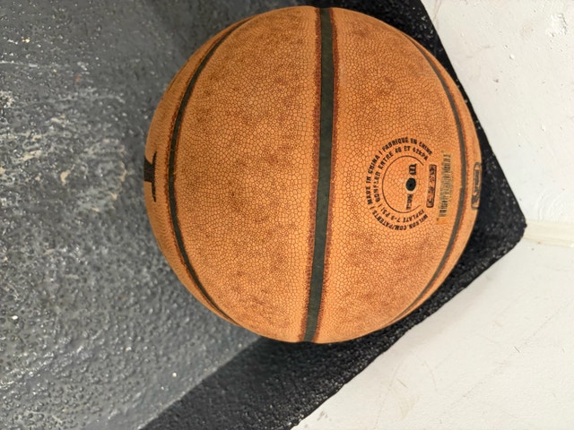 Wilson NBA Signature Series Basketball