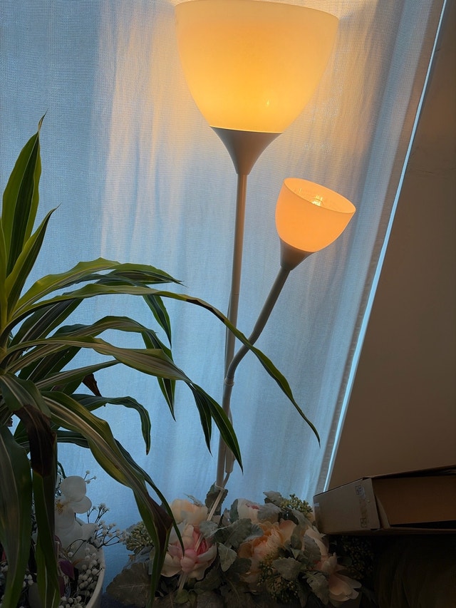 IKEA Floor Lamp - photo 4