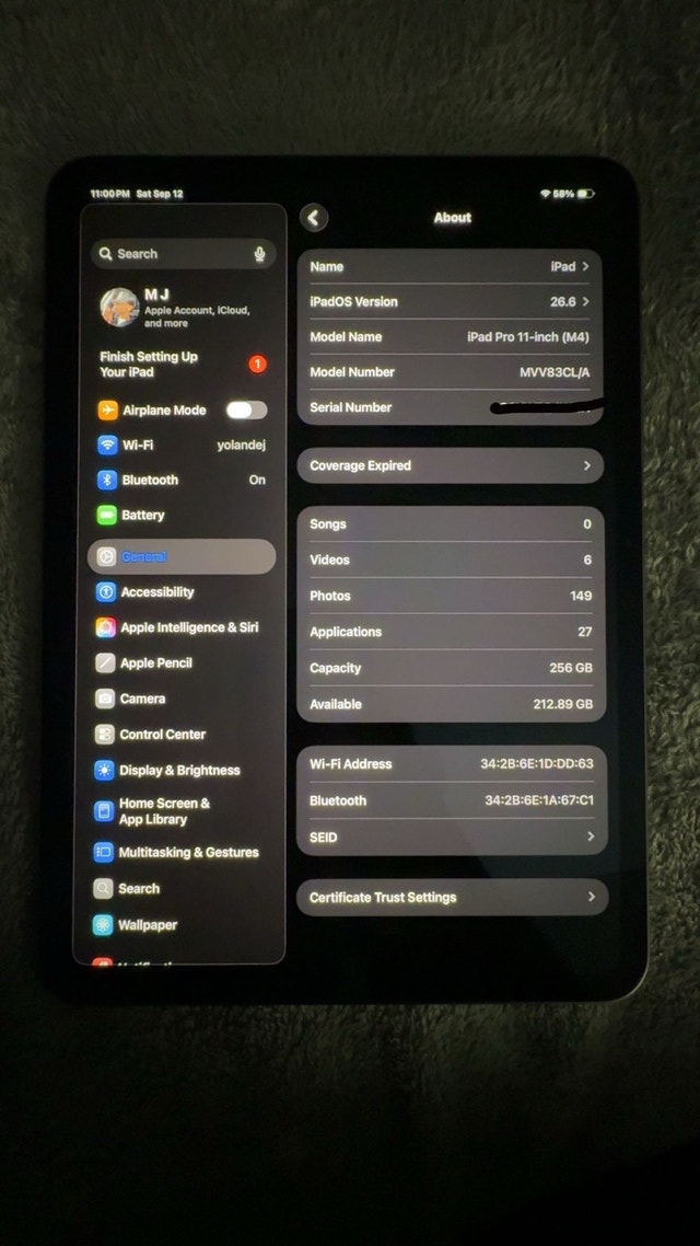 Apple iPad Pro 11" M4 (256GB, Wi-Fi) + Case & Charger - photo 2