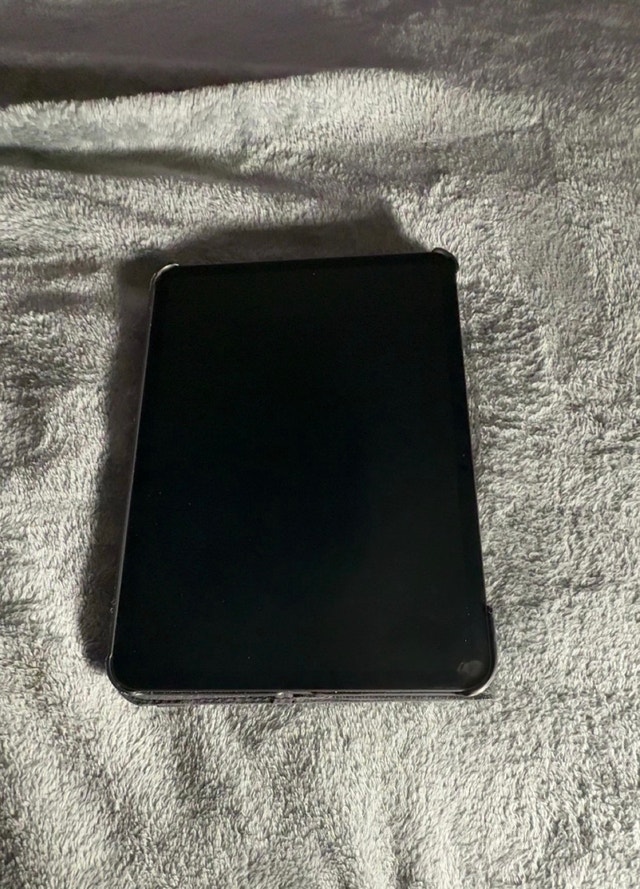 Apple iPad Pro 11" M4 (256GB, Wi-Fi) + Case & Charger - photo 3