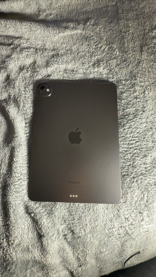 Apple iPad Pro 11" M4 (256GB, Wi-Fi) + Case & Charger - photo 4