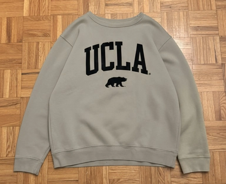 Zara UCLA College Sweatshirt