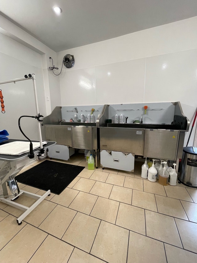 TORONTO- shared Pet professionals space for rent - photo 2