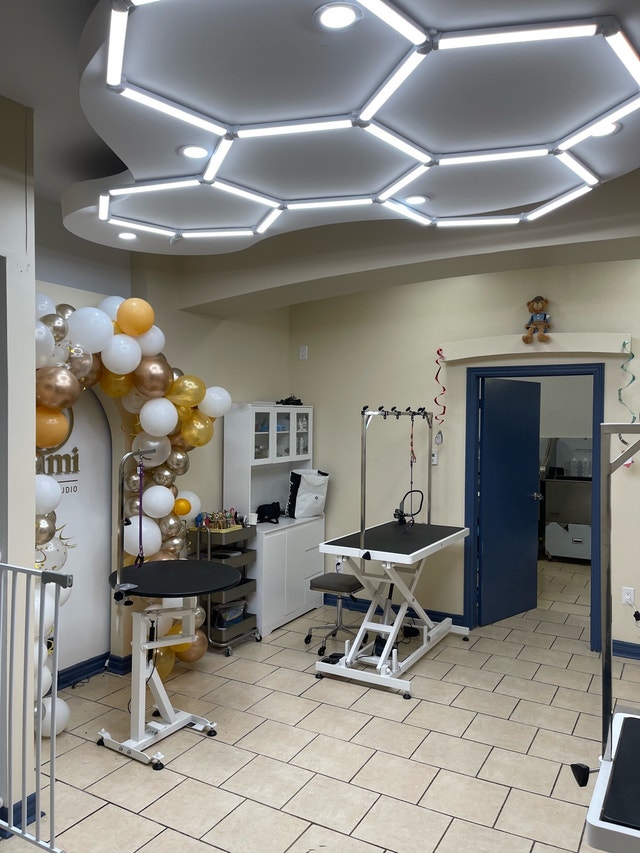 TORONTO- shared Pet professionals space for rent - photo 3