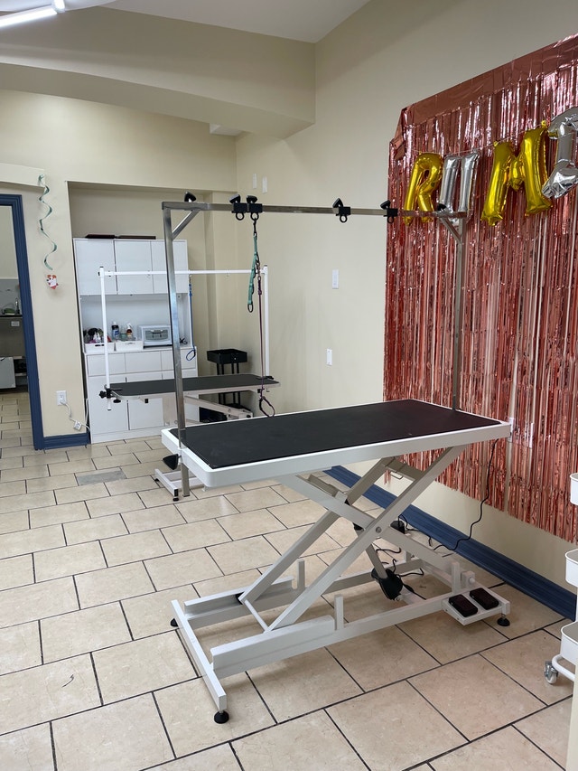 TORONTO- shared Pet professionals space for rent - photo 4
