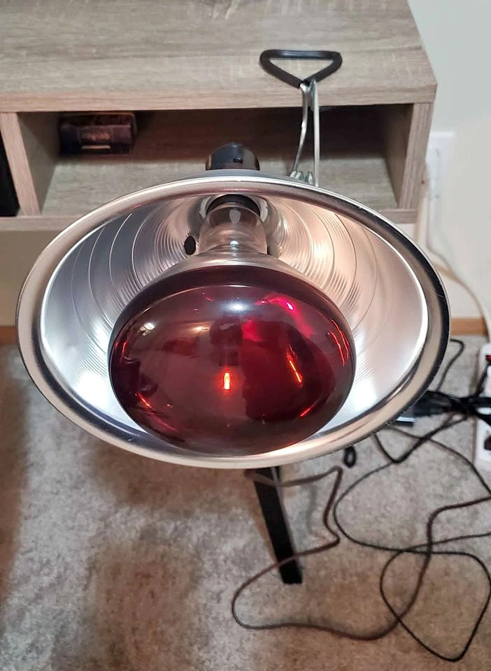 Infrared Red Light/Heat Lamp with Bulb